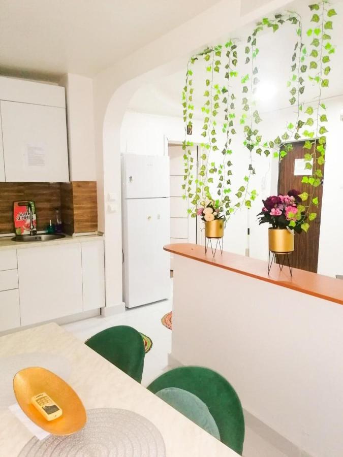 Apartament Near The Park Two Rooms Bukares Bagian luar foto