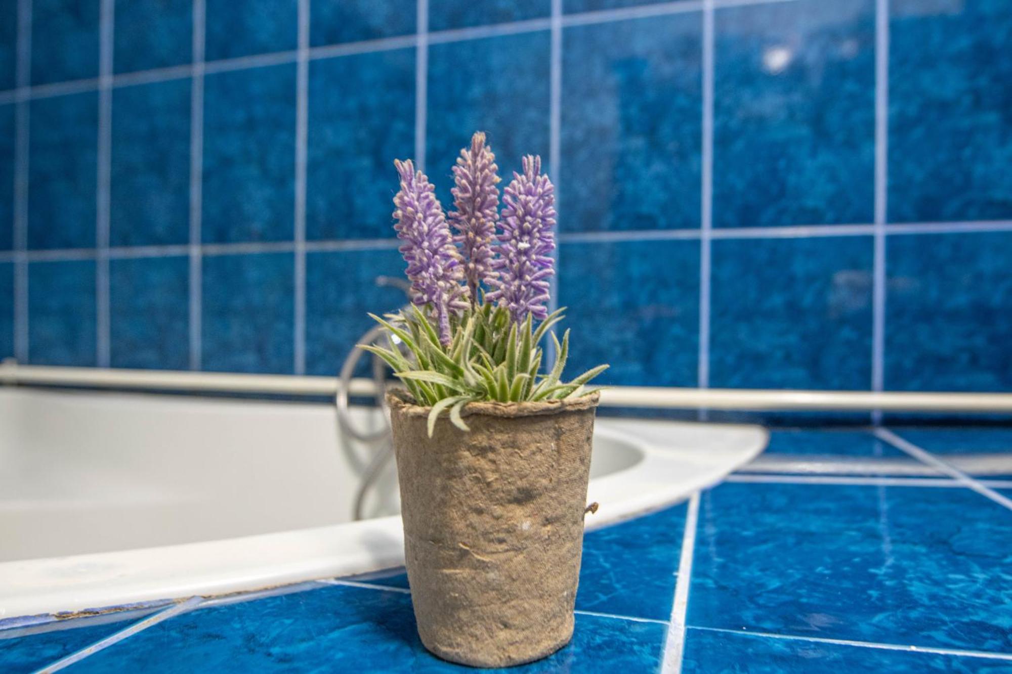 Apartament Near The Park Two Rooms Bukares Bagian luar foto